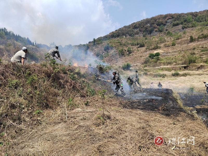 九龙街道：重拳出击 严厉打击野外用火行为