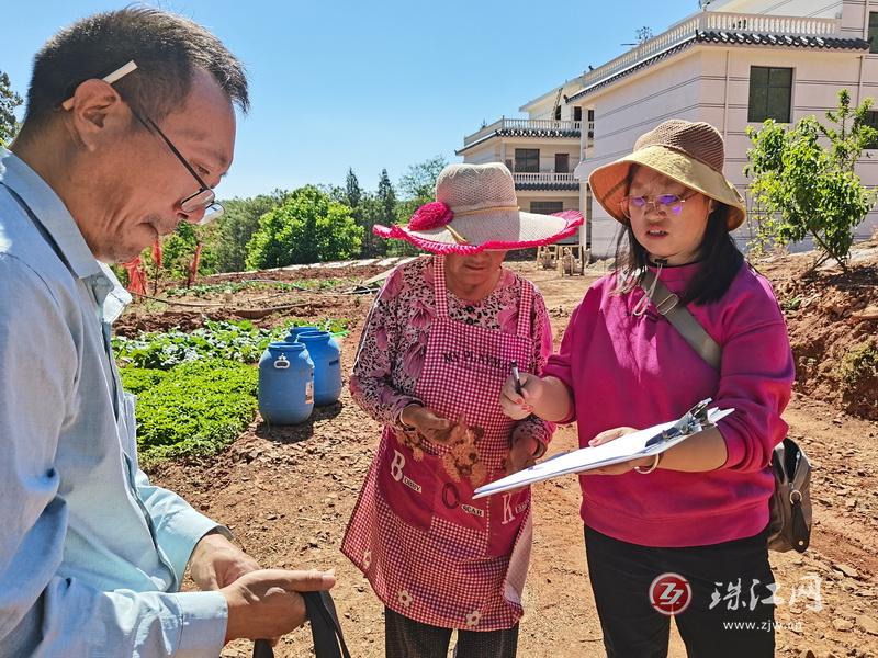 者海镇：整治违规占用耕地 严守耕地保护红线