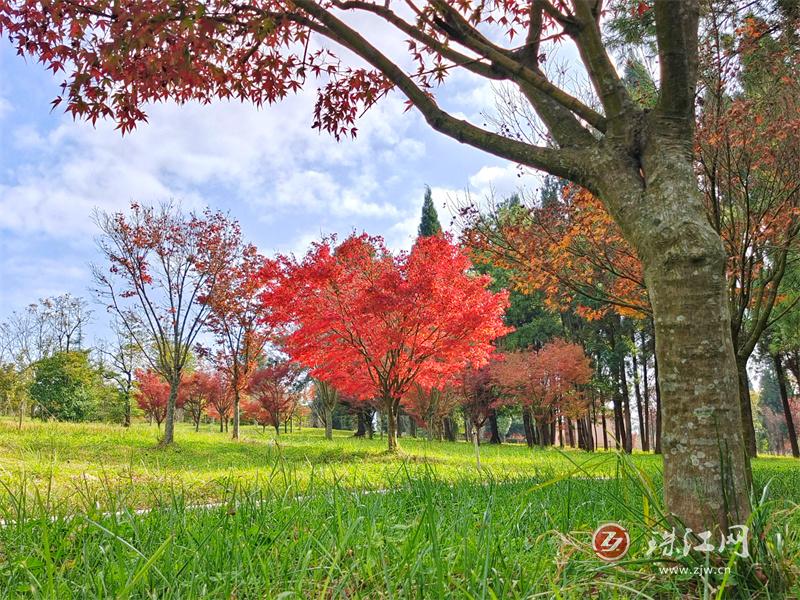 师宗文笔公园图片