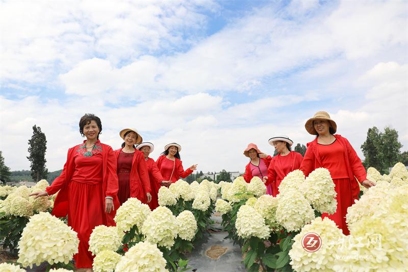 杨官田社区：村美民富产业旺  和美乡村入画来