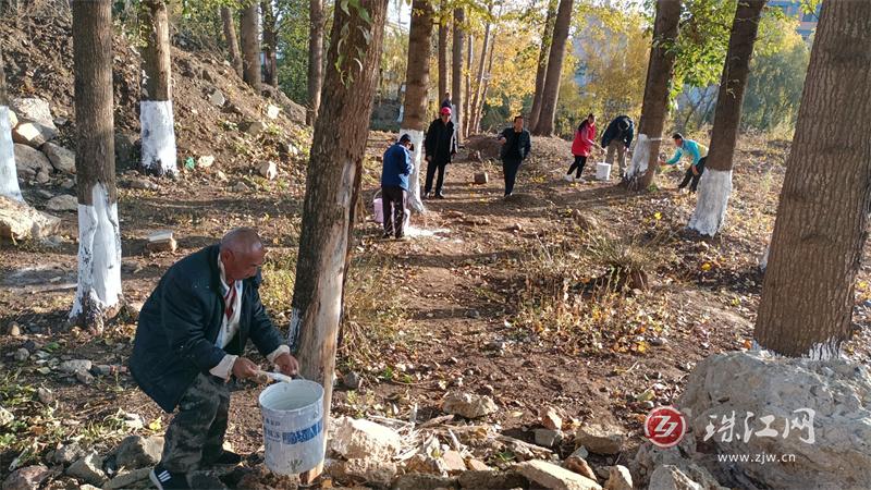 以礼街道：2000余棵行道树刷白“穿新衣”