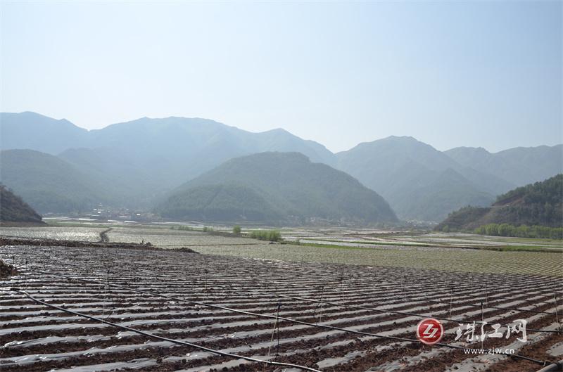 新街乡推进高标准农田建设筑牢乡村振兴“耕”基