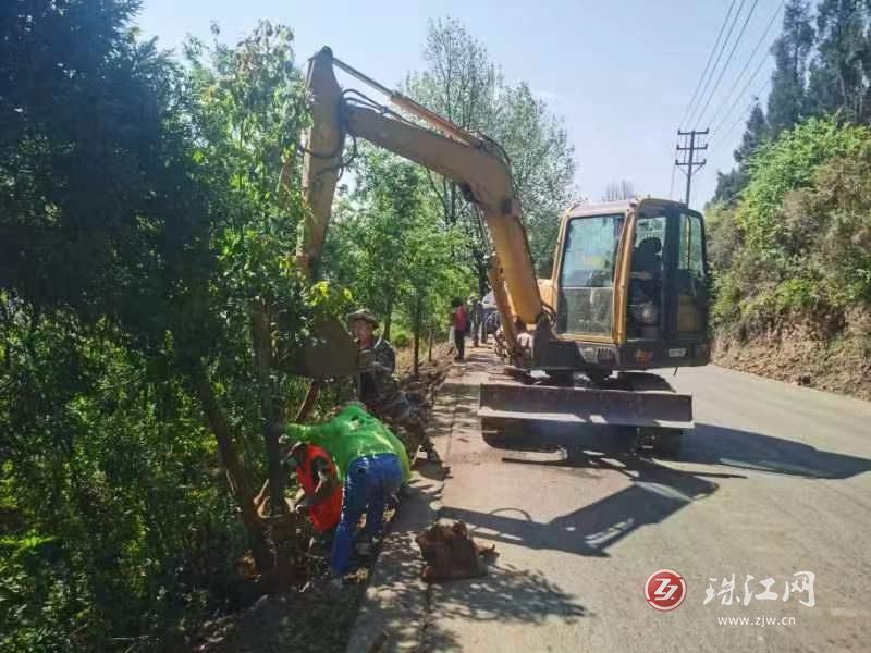 太和社区绿化国道，持续打造“绿美公路”