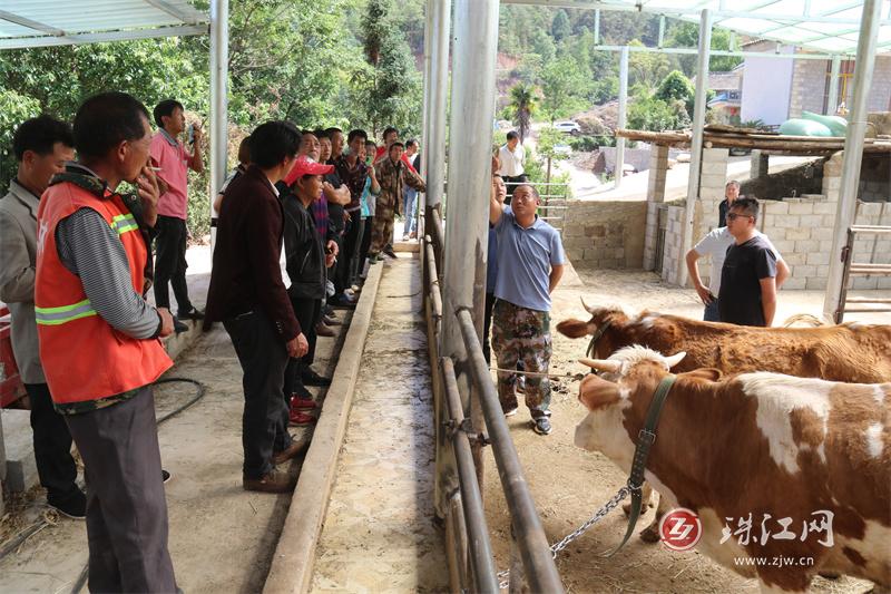 雨碌乡举办肉牛养殖技术培训