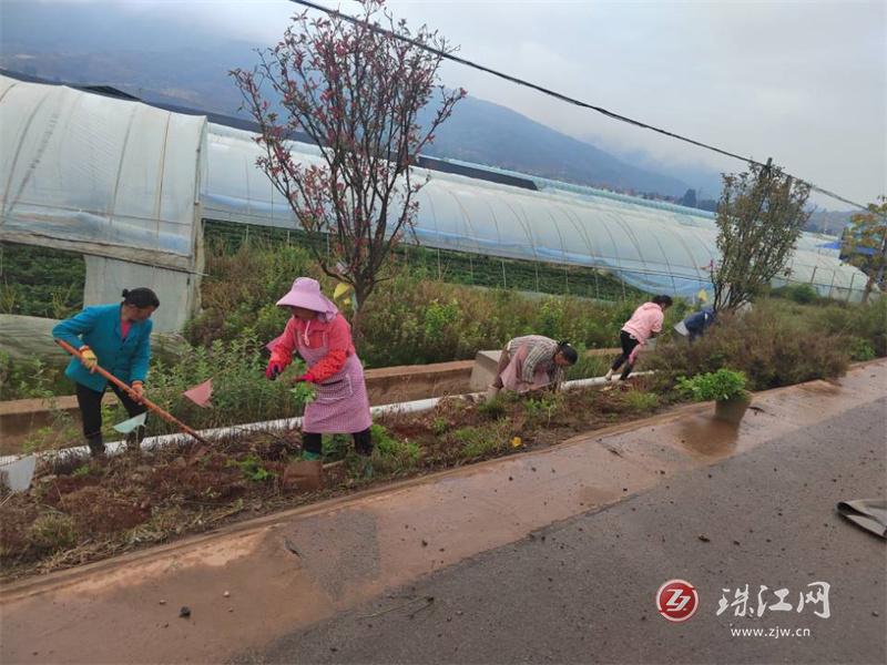 者海镇：种花种草“添新绿”