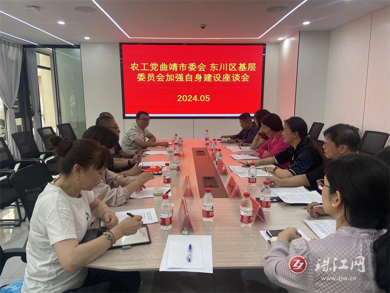 农工党曲靖市委会和东川区基层委员会召开加强自身建设座谈会