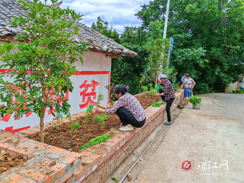 迤车镇陷塘村：植树栽花扮靓和美乡村