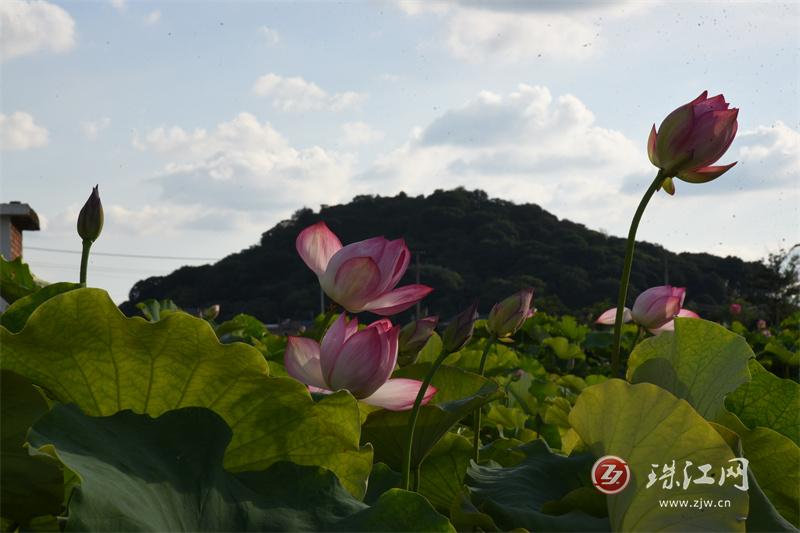 云南师宗景点图片