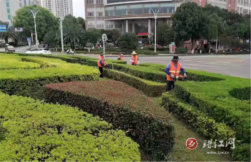 曲靖经济技术开发区建设局剪出“精气神”  防住“病虫害”