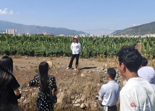 会泽县古城街道致富带头人到蔬菜基地学习种植技术