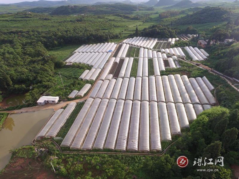 葵山镇冒水洞村：“三路径”走出景美人和“新大寨”