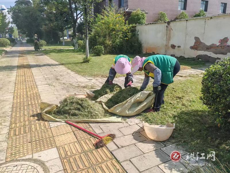 麒麟区执法局：启动秋季病虫害防治为绿植“保驾护航”