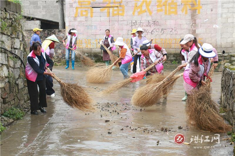 大水井乡：“美丽庭院”巾帼行动共绘美丽乡村新画卷