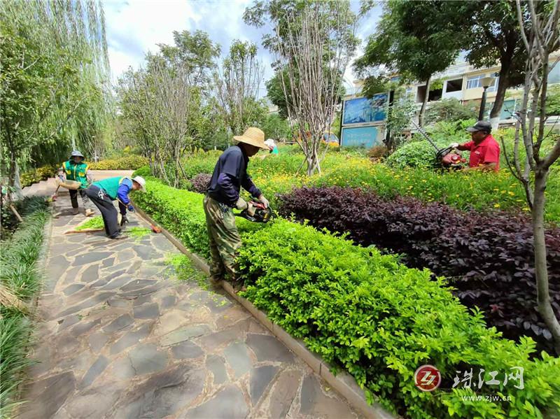 麒麟区执法局：城市绿地秋季病媒生物防制进行中