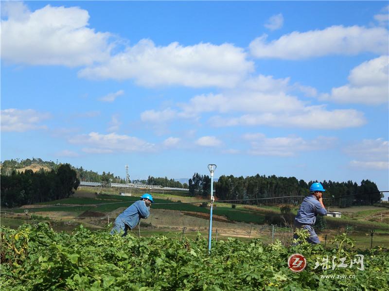 陆良供电局：送电到地头 农户种植省心又增收