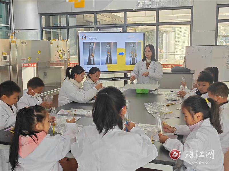 生命科学的奇妙之旅