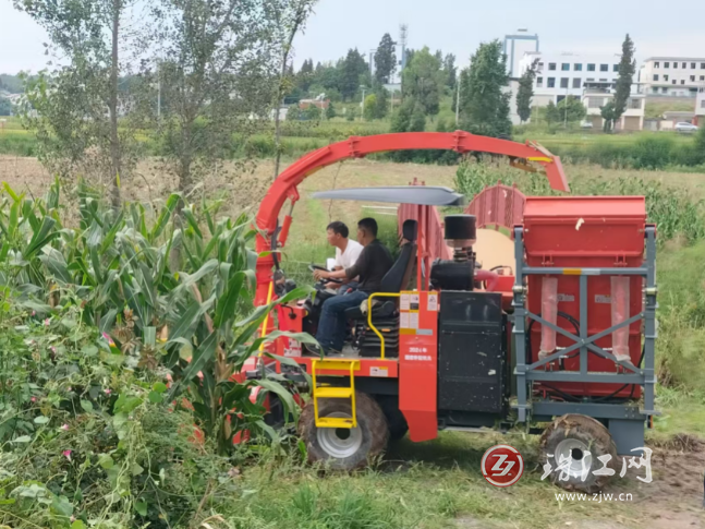 馬龍區(qū)張安屯街道首次推廣實(shí)施全株青貯玉米收割機(jī)械化技術(shù)