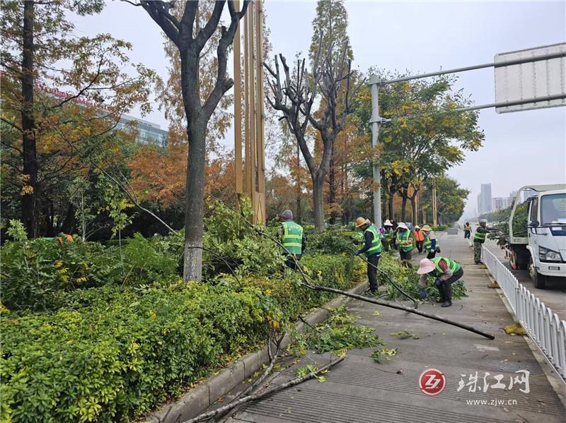 曲靖經(jīng)開區(qū)：精準(zhǔn)修剪綠化樹木 保障道路交通安全