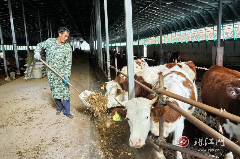 會(huì)澤縣寶云街道“三個(gè)聚焦”賦能鄉(xiāng)村振興