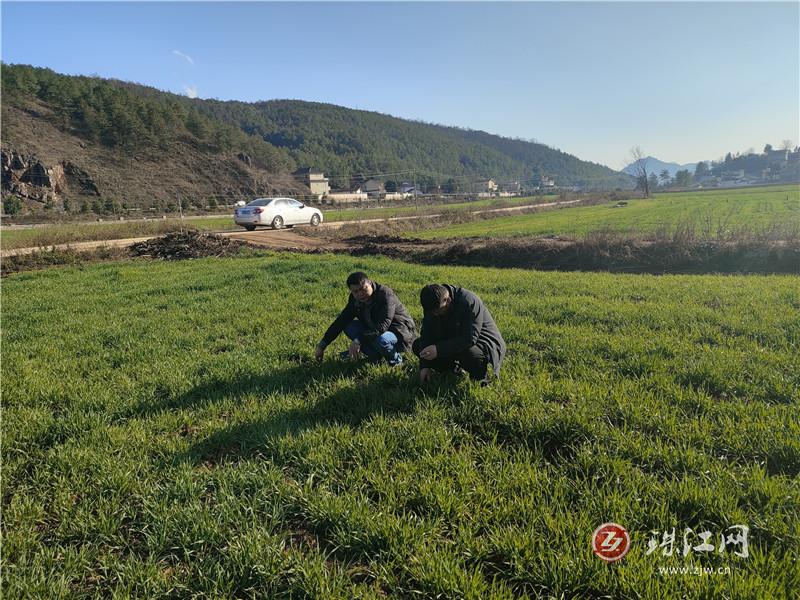 雨碌鄉(xiāng)三措并舉抓實春耕備耕