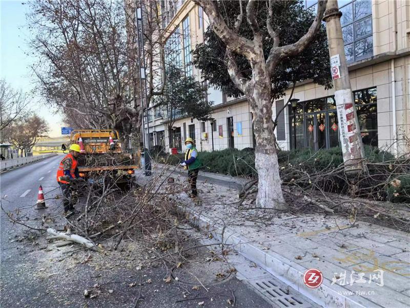 ?麒麟?yún)^(qū)園林處排查6000余棵高大喬木,，清理樹枝60余車,、180余噸