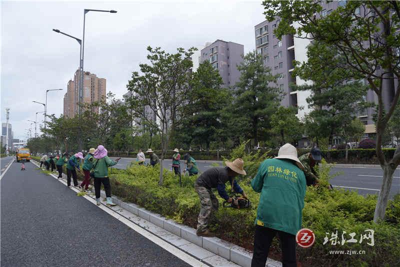 护航10公里精英赛！麒麟区执法局园林处以花为媒“绣”出赛道沿线新颜值