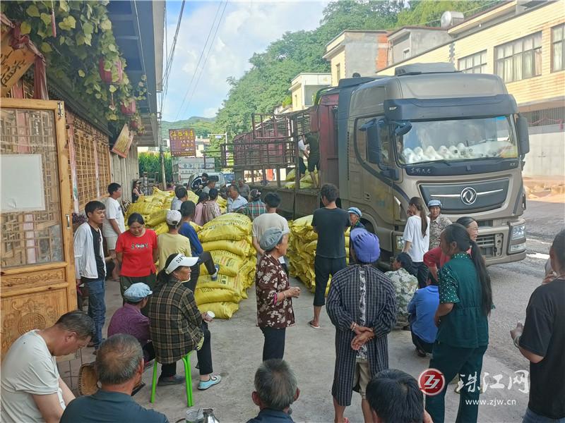 迤车镇为农户免费发放1485吨有机肥和28.7吨蚕豆种子