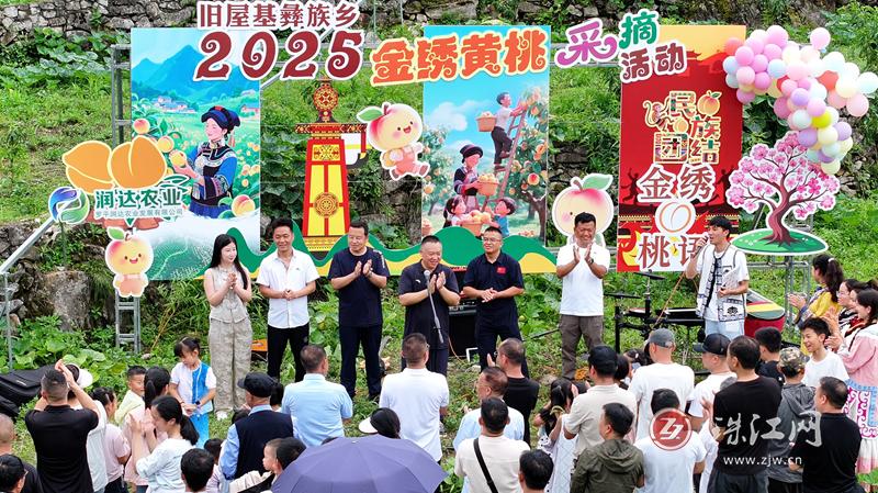 罗平县旧屋基乡：黄桃尝鲜节甜蜜启幕  开启夏日清凉之旅